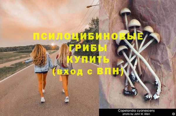 мяу мяу мука Алексеевка