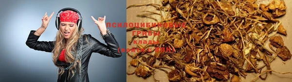 Альфа ПВП Алзамай