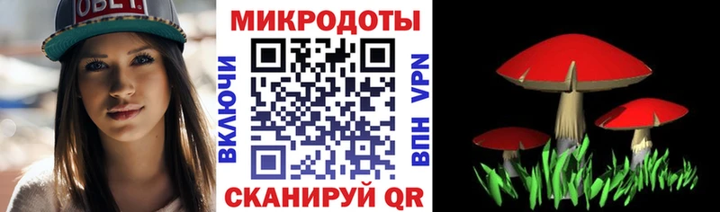 Псилоцибиновые грибы прущие грибы Купить где Кочубеевское